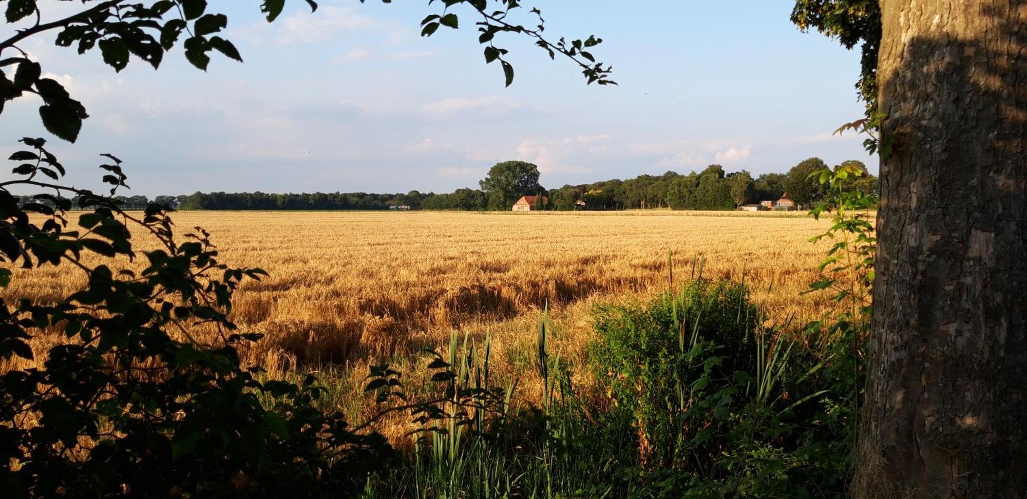Slaaphuisjes Op Wielen Buitenwedde Westerwolde Esterno foto